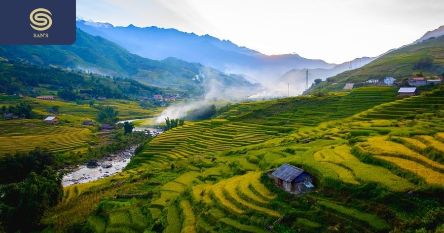 Sapa terraced fields