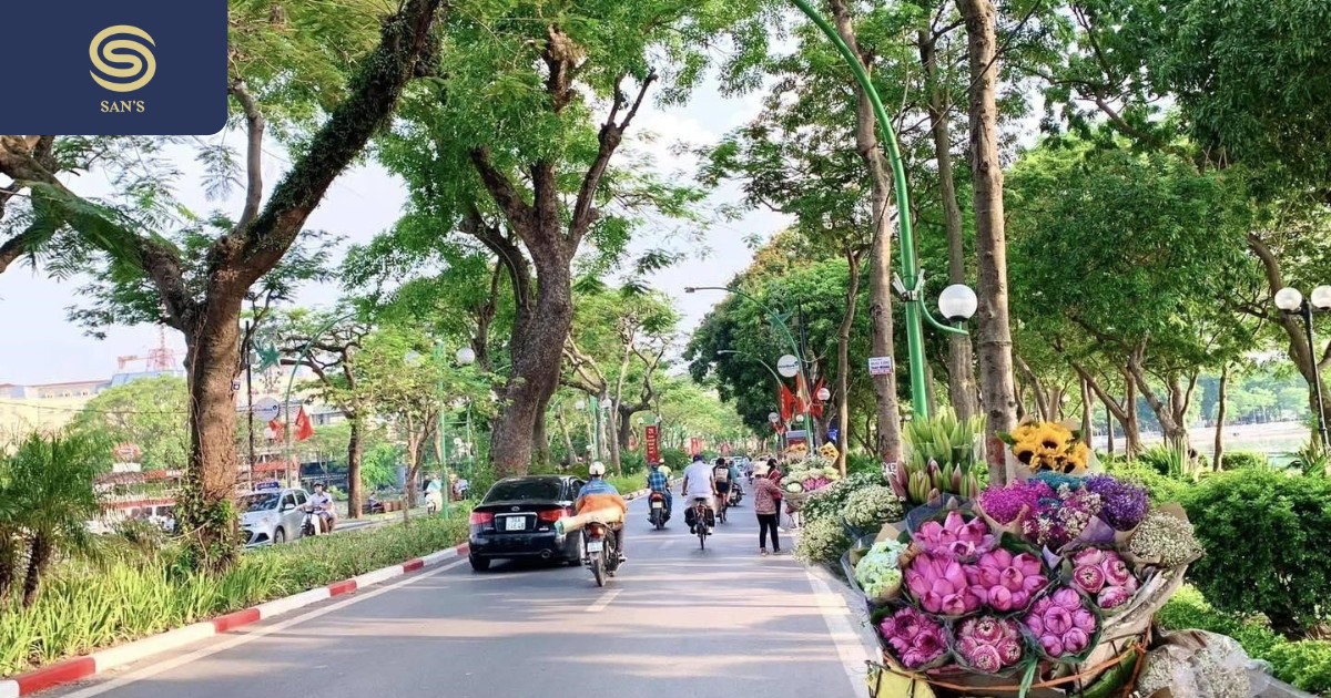 The Impact on Hanoi's Climate