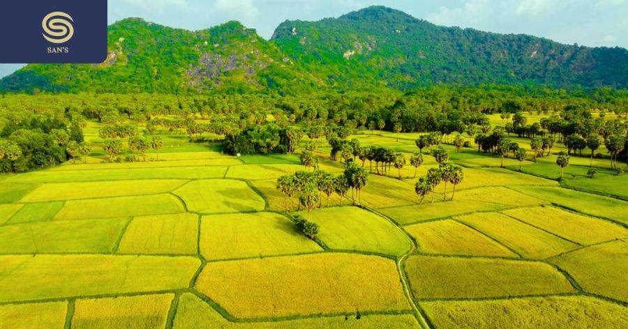 Tà Pạ Rice Fields