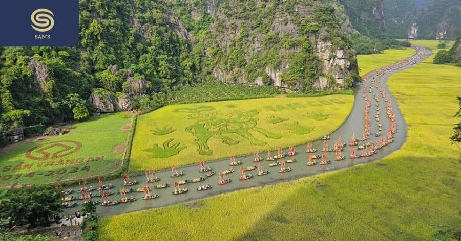 Tam Coc Rice Fields