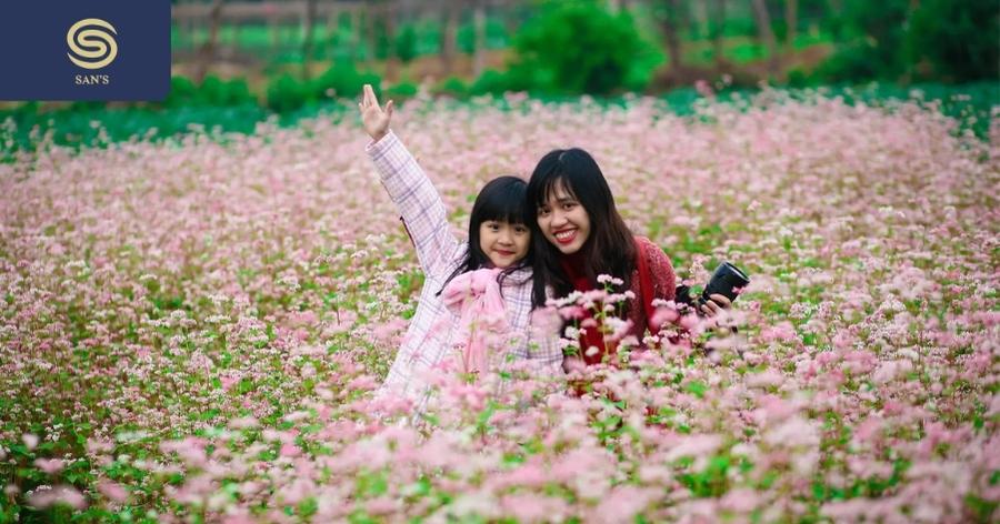 Buckwheat flowers in Moc Chau