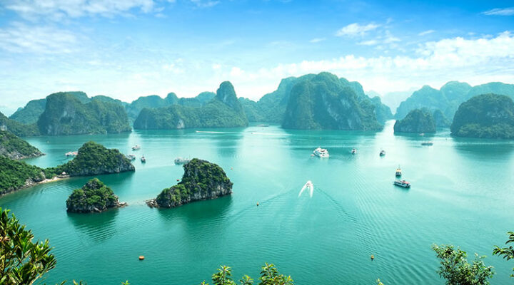 Halongbay tour