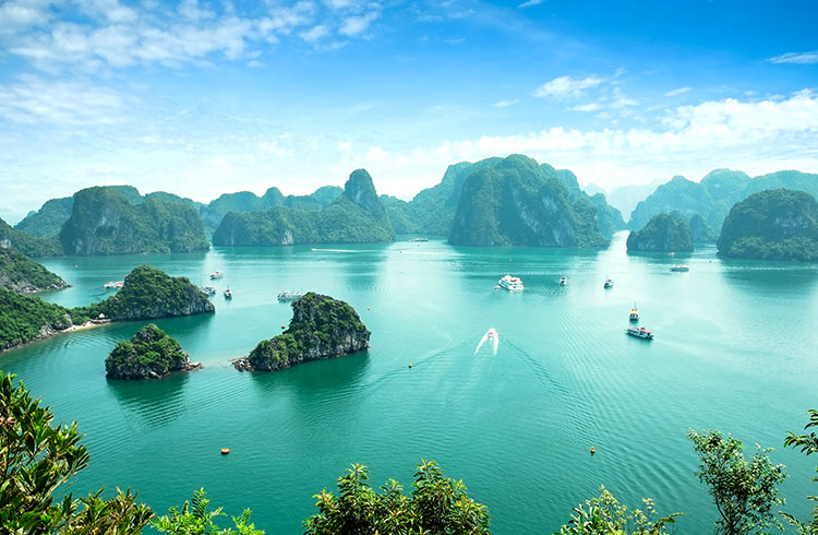 Halongbay tour