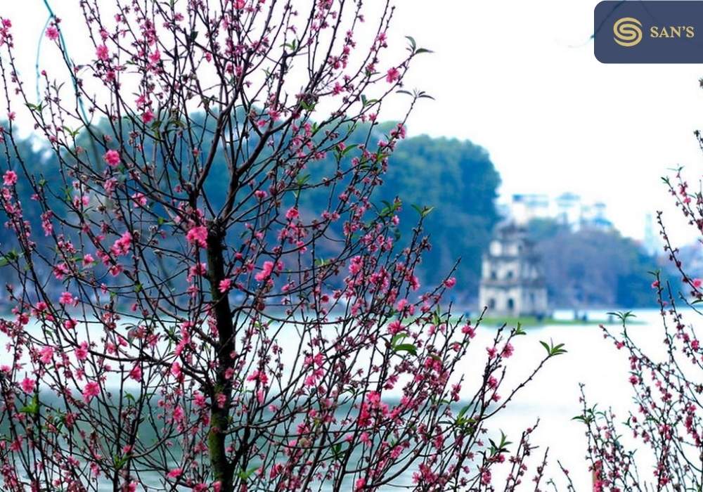 Spring in Hanoi