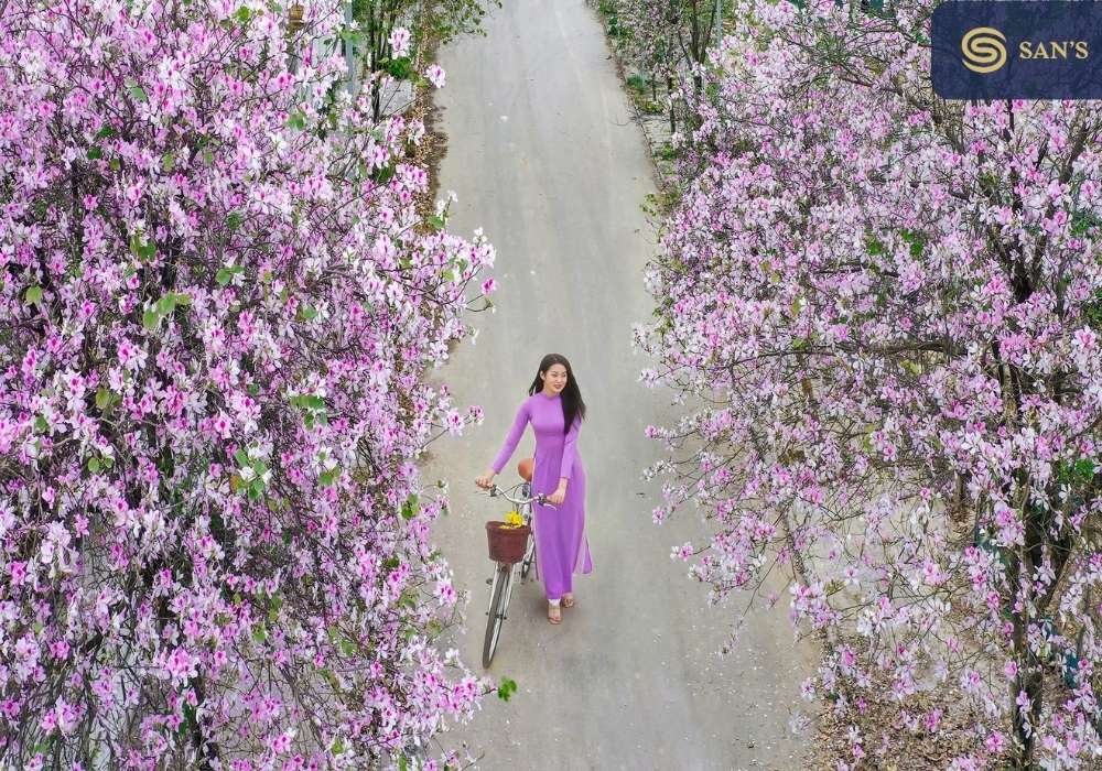 Tet Festival - the biggest festival in Vietnam