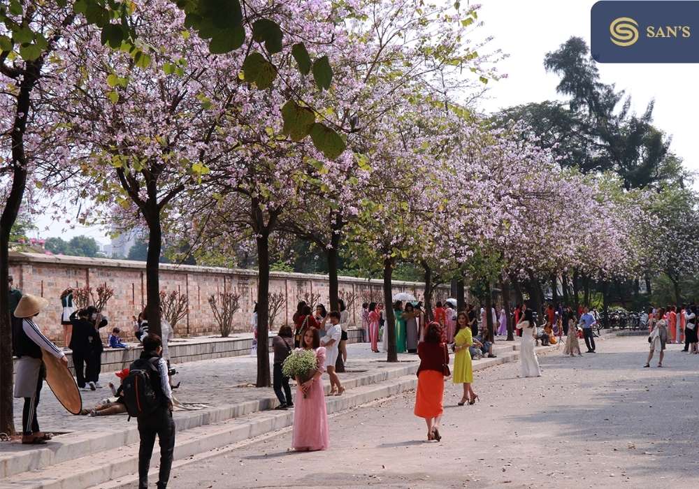 Spring in Hanoi