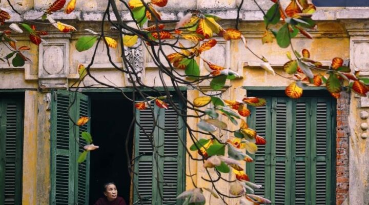 autumn in Hanoi