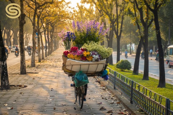 Fall in Hanoi