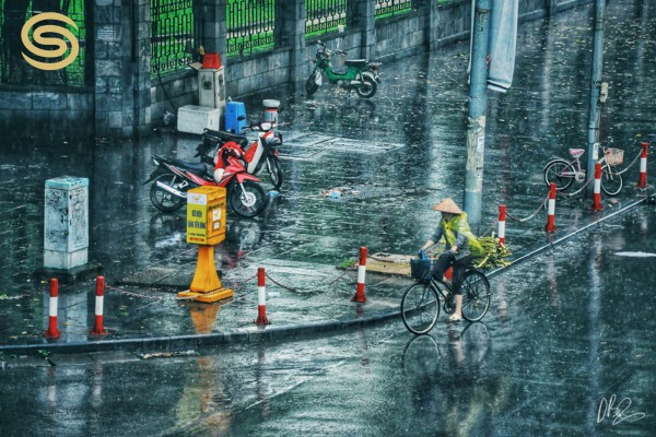 Rain in Hanoi