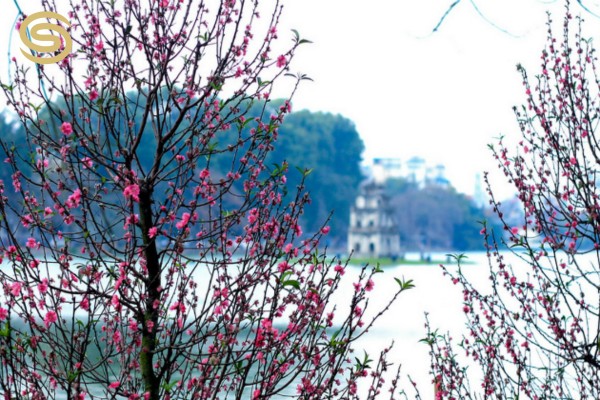 Spring in Hanoi