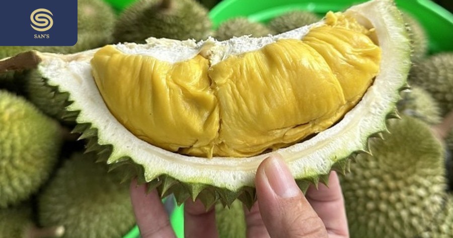 Durian fruit has a unique sweet and fragrant taste, but not everyone can enjoy it. Grown in Vietnam, Thailand... (Source: Collected)