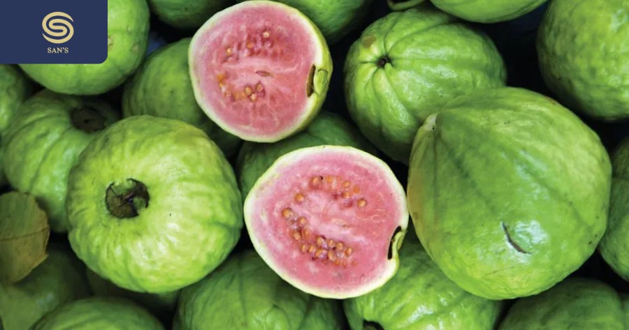 Guava is quite delicious, but you should eat ripe fruit. They will be very fragrant and sweet. (Source: Collected)