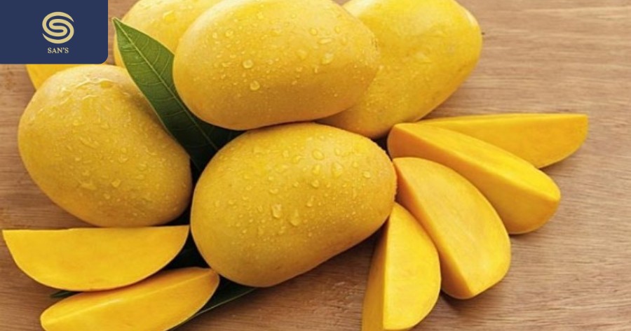 Green and ripe mangoes have different ways to eat. Green mangoes can be dipped in salt, but when ripe, you can eat them directly or make smoothies (Source: Collected)