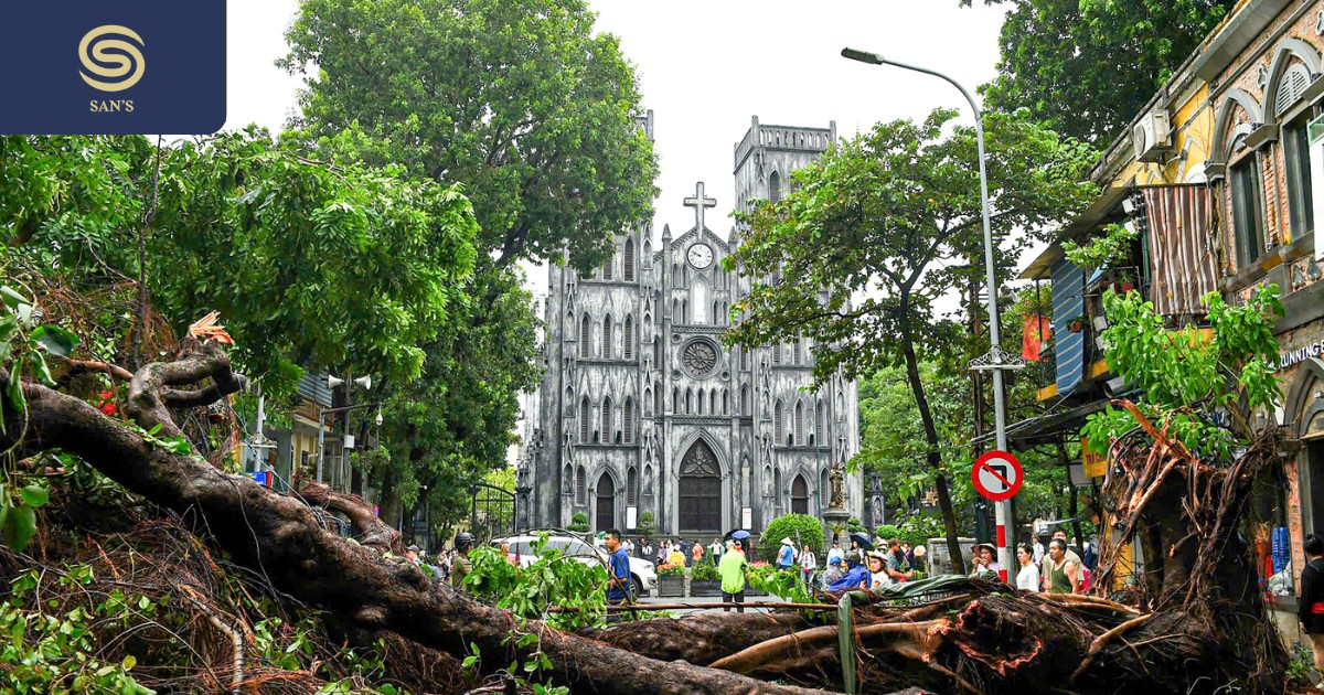 After a big storm causes a lot of damage to property and tourist destinations