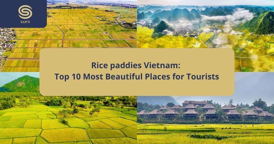 Rice paddies Vietnam: Top 10 Most Beautiful Places for Tourists